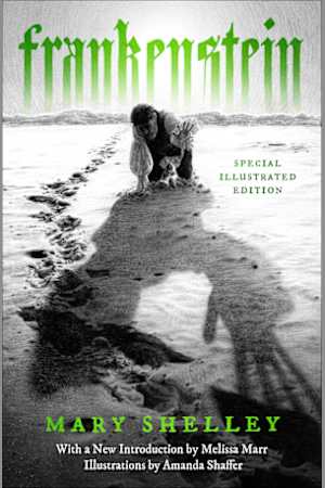 Frankenstein: Special Illustrated Edition
