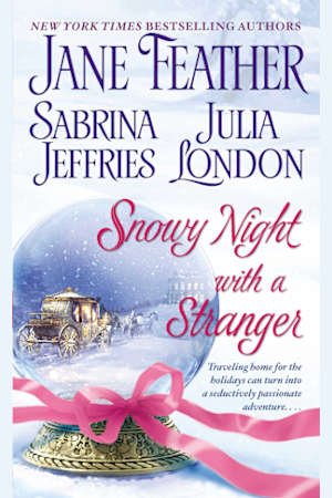 Snowy Night with a Stranger