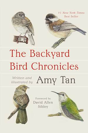 The Backyard Bird Chronicles