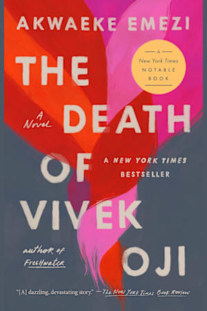 The Death of Vivek Oji