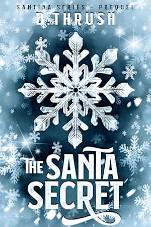 The Santa Secret