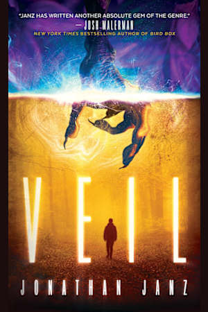 Veil